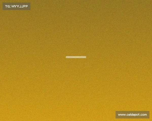 快船队迎来高光时刻,击败实力强队