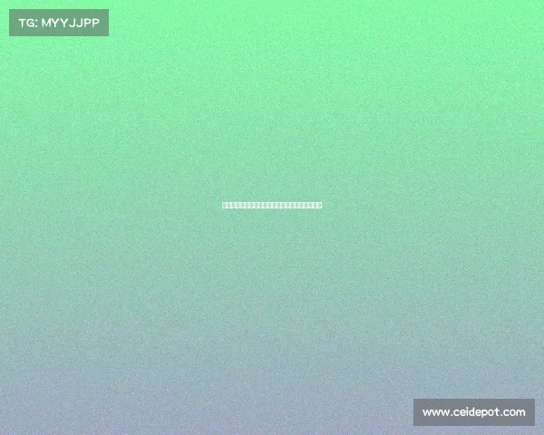 深圳地表温度突破：极端高温背后的气候变化危机