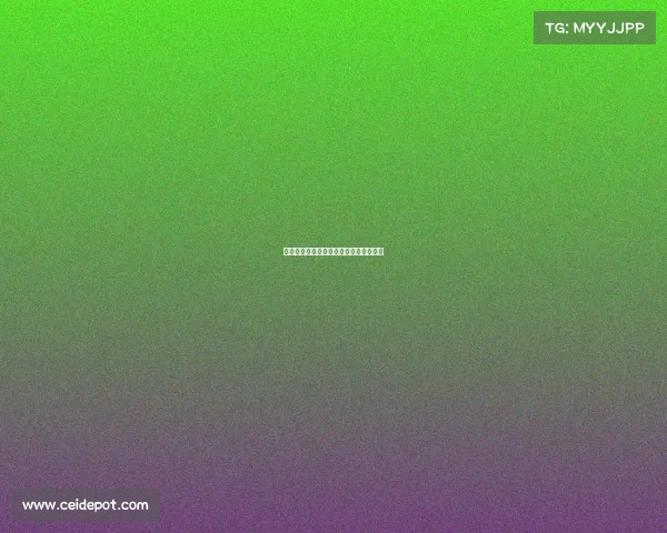 法甲冬季转会：巴黎圣日耳曼的引援策略