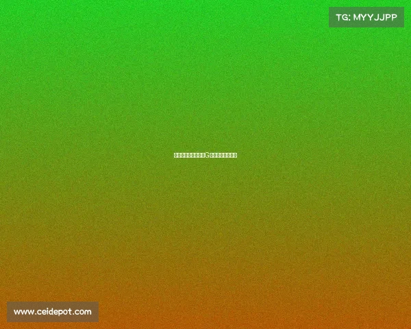 瑞士峰会：如何借力G书提升国际影响力