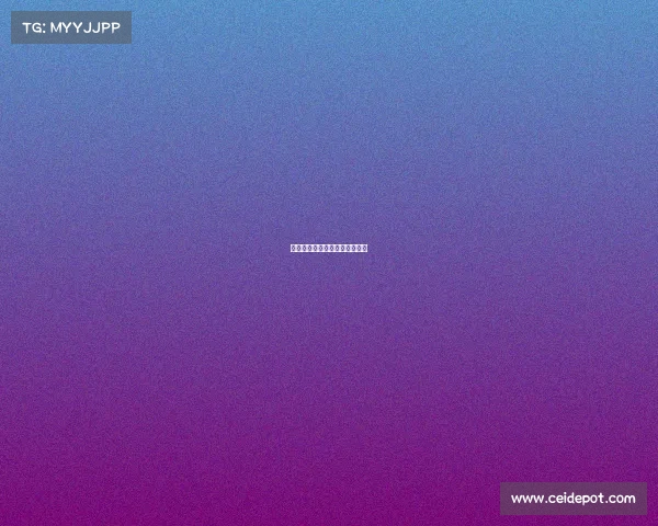 雷霆队激情四射,球迷见证奇迹