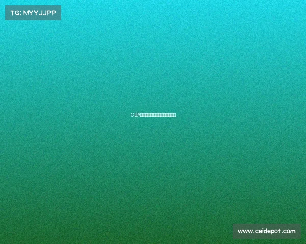 CBA新球员表现回顾：谁值得关注？